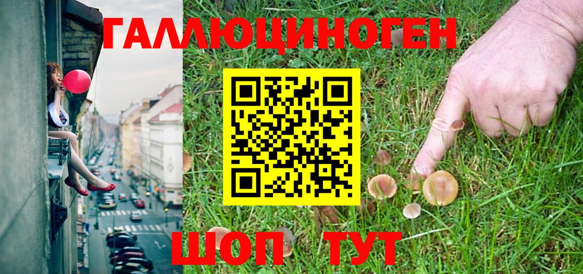 Псилоцибиновые грибы Psilocybine cubensis Майкоп