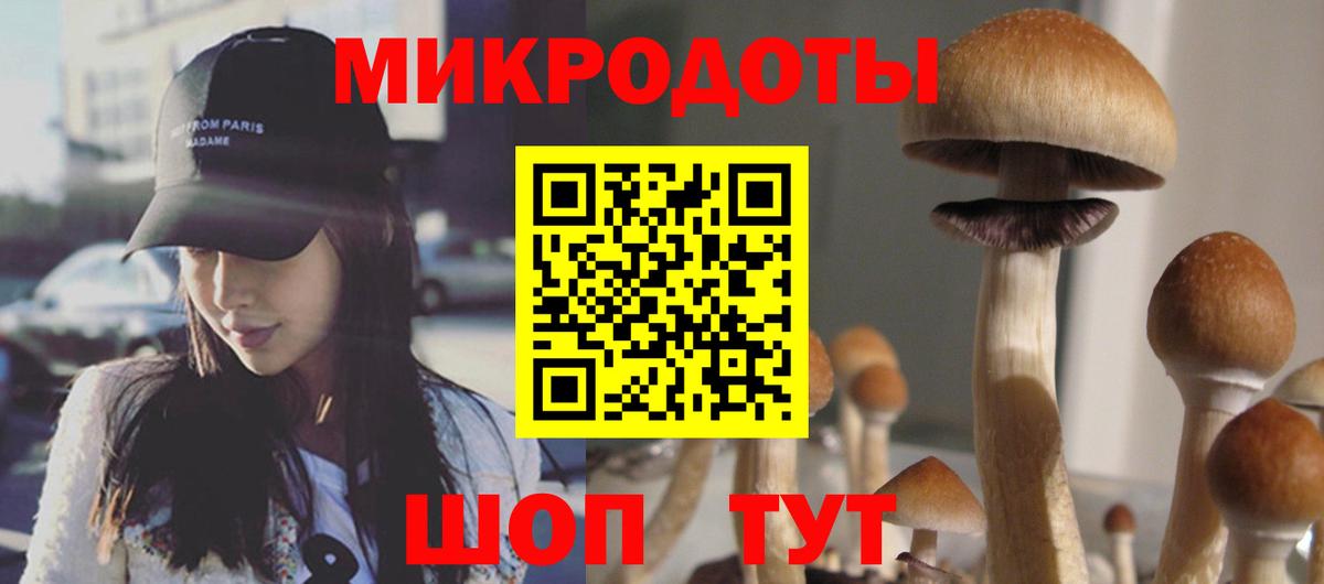 Майкоп  Галлюциногенные грибы прущие грибы  Псилоцибиновые грибы прущие грибы  Вход с VPN 